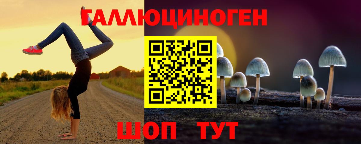 Галлюциногенные грибы Psilocybine cubensis Ковров